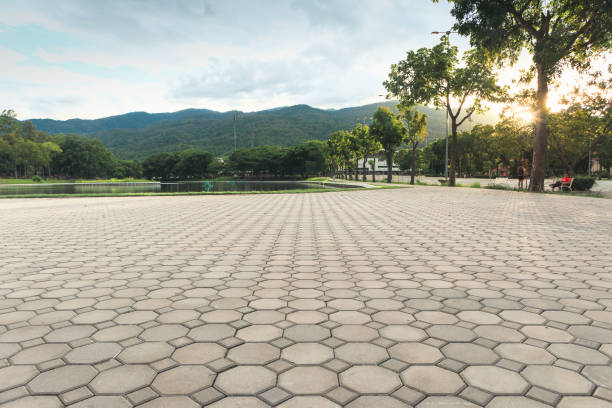 Best Custom Driveway Pavers  in Laguna Beach, FL